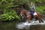 Josef V��a, �okej (kveten 2010)